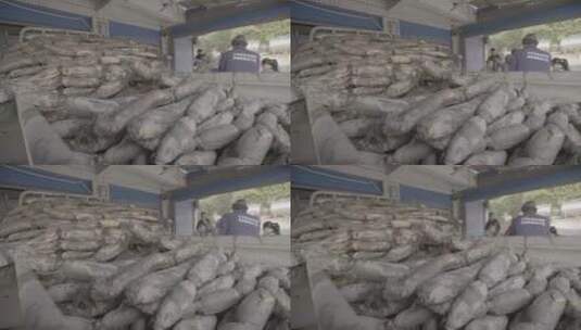 农贸市场销售的带泥巴的莲藕LOG高清在线视频素材下载