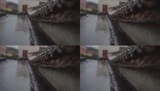 雨滴 雨水特写 水珠高清在线视频素材下载