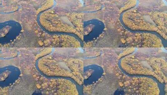 航拍秋季扎敦河湿地河湾高清在线视频素材下载