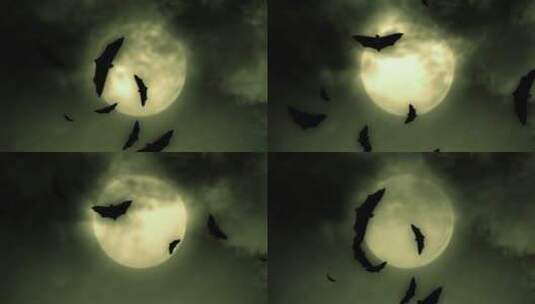 万圣节蝙蝠和满月高清在线视频素材下载