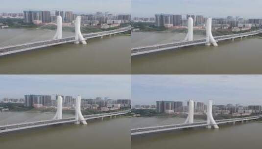东江上的斜拉桥高清在线视频素材下载