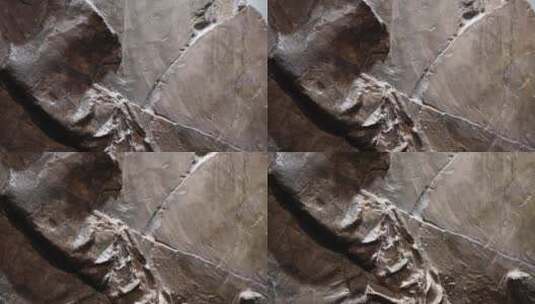 远古翼龙恐龙化石高清在线视频素材下载