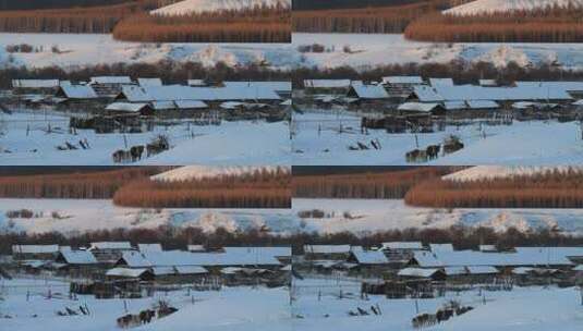 内蒙古北部中俄边塞雪村冬景高清在线视频素材下载
