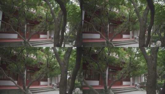 杭州吴山景区有美堂遗址高清在线视频素材下载