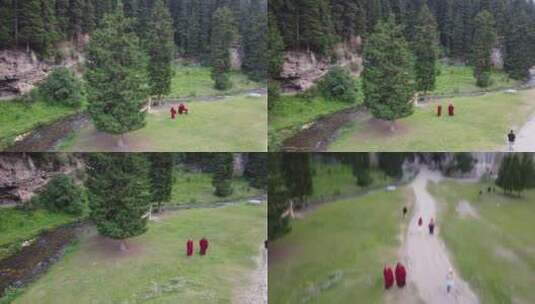 拉卜楞寺 僧侣 夏河 寺庙 藏区 甘南高清在线视频素材下载