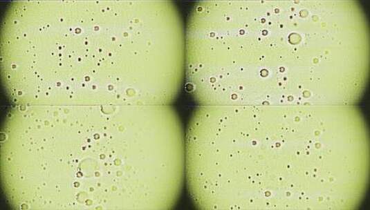 显微镜下有机微生物高清在线视频素材下载