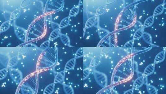 旋转的DNA与分子结构3D渲染高清在线视频素材下载