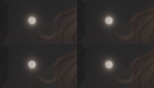 冬天月亮 雪景月亮 月亮意境高清在线视频素材下载