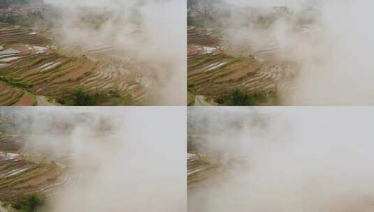 航拍云雾缭绕下的稻田和村庄高清在线视频素材下载