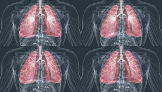 医学人体呼吸系统肺呼吸肺活量深呼吸动画高清在线视频素材下载