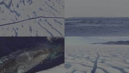 冰海裂缝鲸鱼面游高清在线视频素材下载