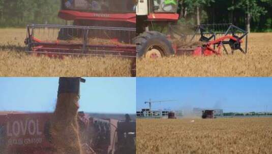 小麦丰收粮食收割机高清在线视频素材下载