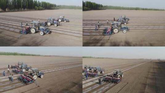 航拍中国新疆春季 棉花机械播种高清在线视频素材下载