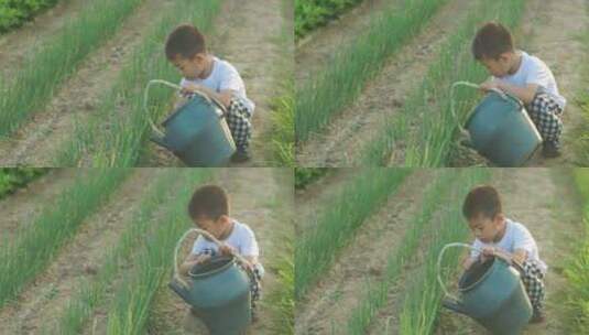 夏日小朋友农田玩耍浇水高清在线视频素材下载