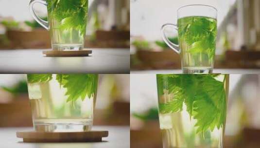 玻璃杯泡茶茶叶水超清唯美高清在线视频素材下载
