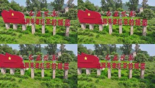 4K航拍广东省英德市红旗茶厂高清在线视频素材下载