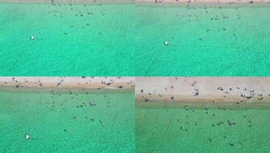 海南三亚亚龙湾玻璃海绿松石色白沙滩海岸线高清在线视频素材下载