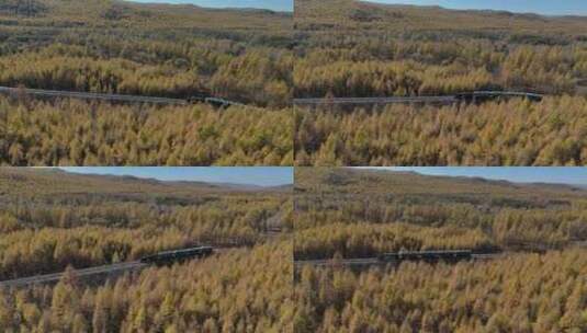 航拍小火车行驶在大兴安岭的秋天4K高清在线视频素材下载