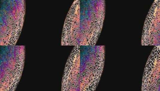 炫彩颜料反射纹路高清在线视频素材下载