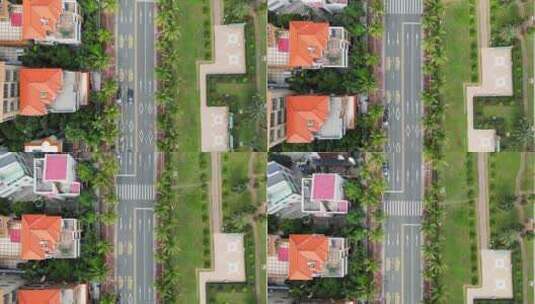 广东湛江城市街道椰子树航拍4K60高清在线视频素材下载