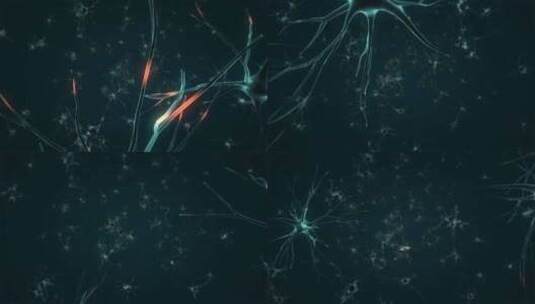 神经元高清在线视频素材下载
