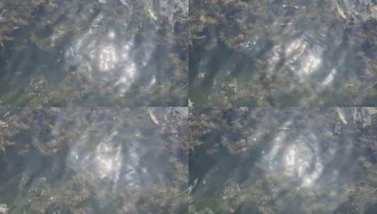 阳光洒在湖面水波荡漾高清在线视频素材下载