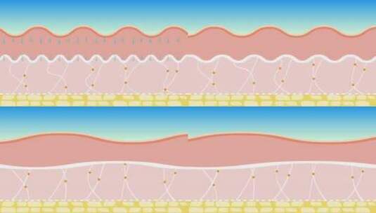 皮肤里的胶原蛋白动画高清在线视频素材下载