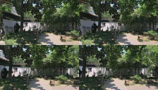 唯美阳光古典庭院 常熟燕园高清在线视频素材下载