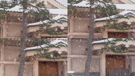 日本山中温泉的一场大雪。这个地方在一千多高清在线视频素材下载