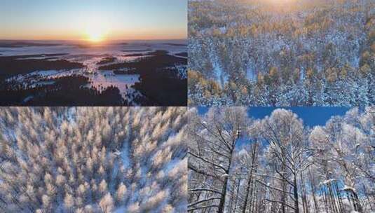 极寒雪原森林雾凇美景合集高清在线视频素材下载