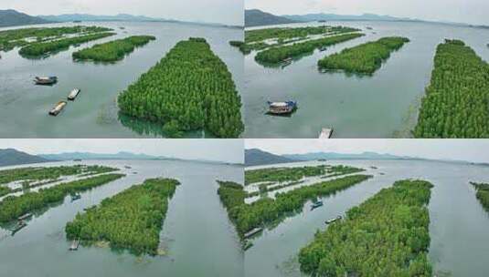 盐洲红树林保护区惠东候鸟白沙村高清在线视频素材下载