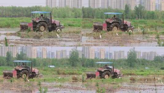 实拍4k农民耕地劳动高清在线视频素材下载