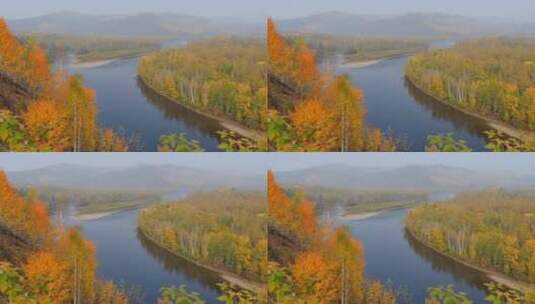 白鹿岛深秋景色 激流河湾 摇 俯拍高清在线视频素材下载