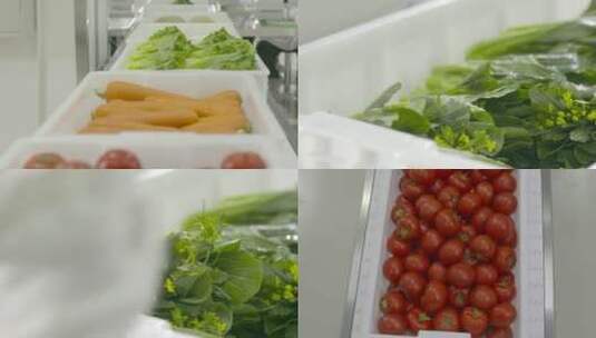 蔬菜加工打包基地菜心西红柿胡萝卜生鲜配送高清在线视频素材下载