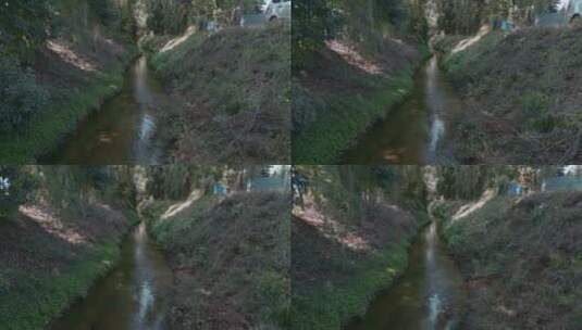 清澈林间小溪小河水沟高清在线视频素材下载