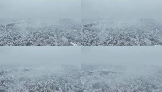 武汉东湖风景区冬季雪景风光高清在线视频素材下载