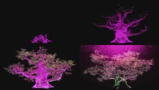 粉色粒子树高清在线视频素材下载