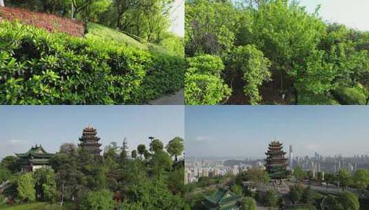 重庆 鸿恩寺公园 航拍 春天高清在线视频素材下载