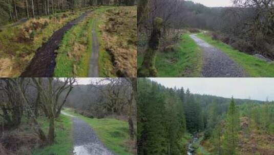 森林小路河流航拍高清在线视频素材下载