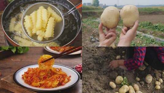 土豆菜品合集高清在线视频素材下载