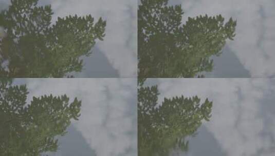 树枝树叶云朵在上面上的倒影高清在线视频素材下载