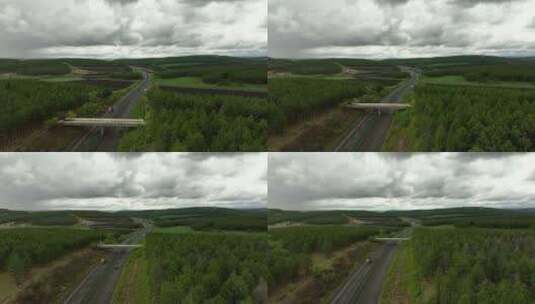 航拍森林树林林间公路高速公路高清在线视频素材下载