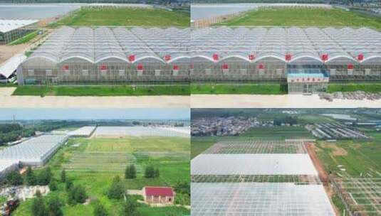 生态草莓工厂 信华新格林 航拍大棚 农业高清在线视频素材下载