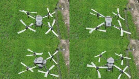 无人机现代农业喷洒农药高清在线视频素材下载