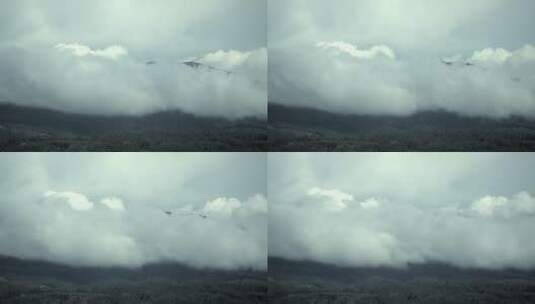 高山和森林上方的云雾高清在线视频素材下载