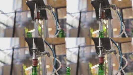 啤酒酿造输送线上的瓶子高清在线视频素材下载