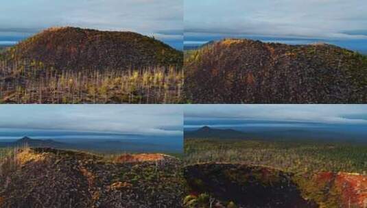 俄罗斯托尔巴赫火山上的树林高清在线视频素材下载