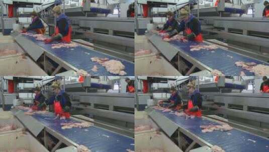 挪威一家鱼类加工厂高清在线视频素材下载