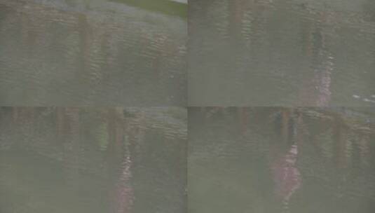 秋天水面女子的倒影LOG视频素材高清在线视频素材下载