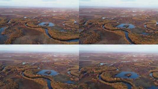 航拍内蒙古呼伦贝尔秋季湿地河湾高清在线视频素材下载